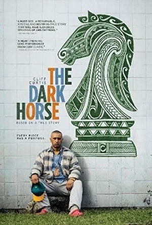 DVD Cover (Broad Green Pictures)