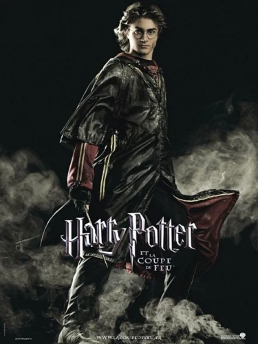 Theatrical Poster (France)