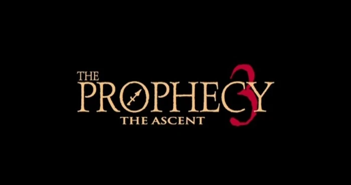 Title Card