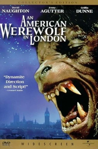 DVD Cover (Universal)