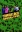 Undead Apocalypse
