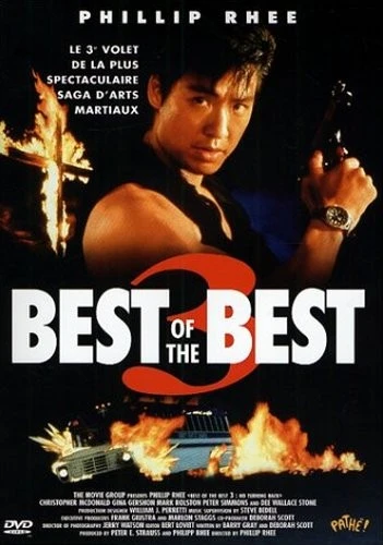 DVD Cover (France)