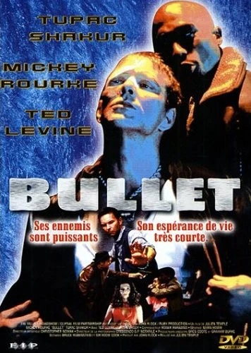 DVD Cover (France)