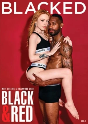 DVD Cover (Blacked)