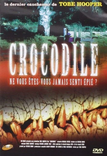 DVD Cover (Italy)