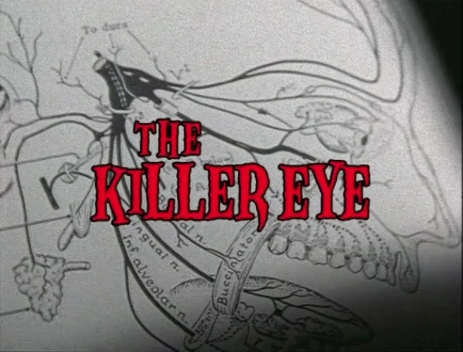 Title Card