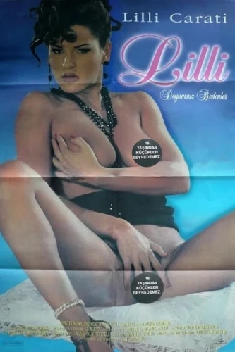Theatrical Poster (Turkey)