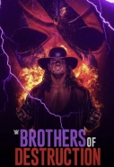 Brothers Of Destruction