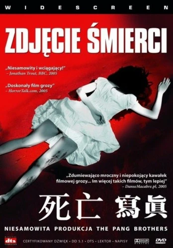 DVD Cover (Poland)