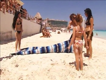 Mexico Barrel Escape