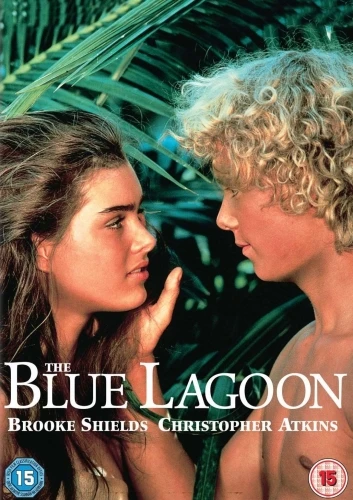 DVD Cover (UK)