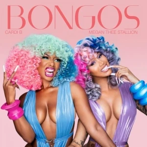 Bongos (sped up)