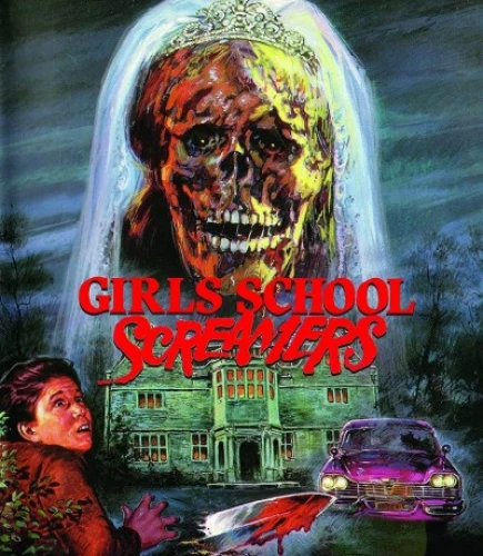 Blu-Ray Cover (Vinegar Syndrome)