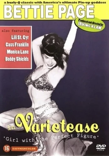 DVD Cover (Netherlands)