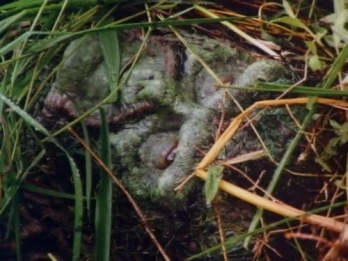 Grotesquery
