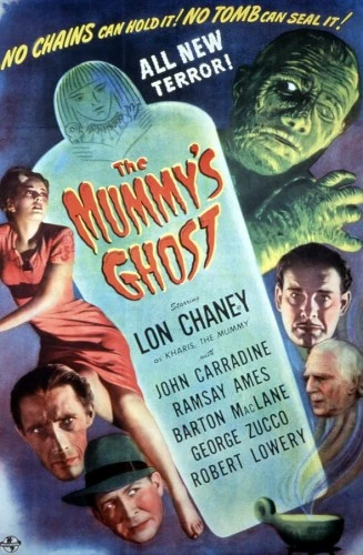 DVD Cover (Universal)