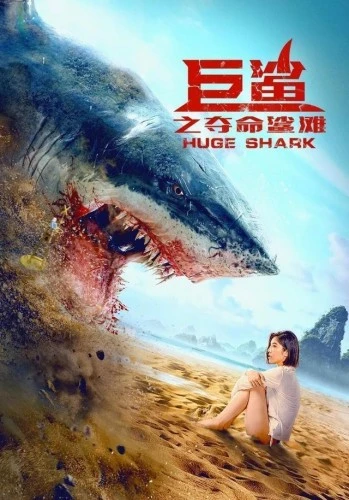 Theatrical Poster (China)