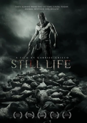 DVD Cover (Leomark Studios)