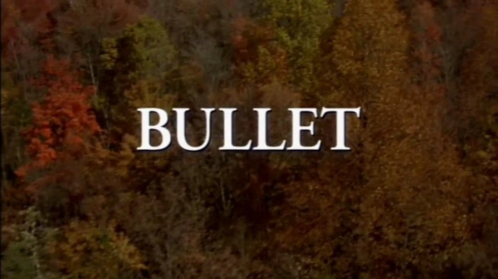 Title Card