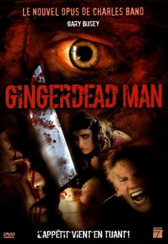 DVD Cover (France)