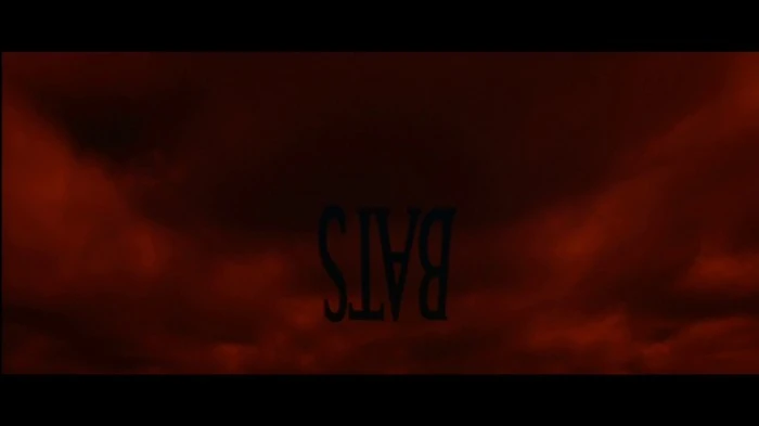Title Card
