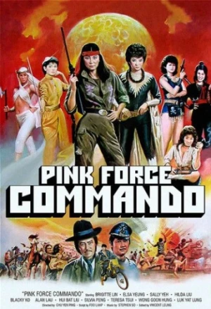 DVD Cover (Gold Ninja)
