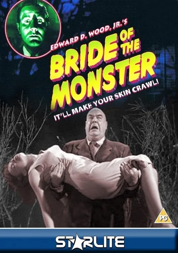 DVD Cover (Starlite)