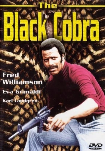 DVD Cover (BCI Eclipse)