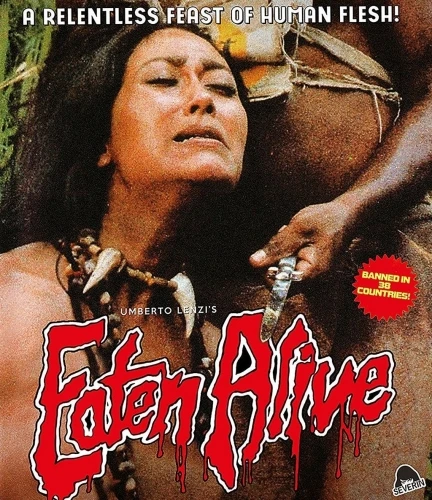Blu-Ray Cover (Severin Films)