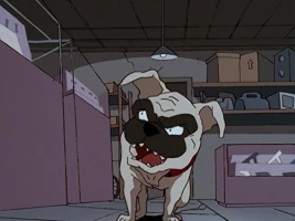 The Irritable Bow-Wow Syndrome