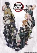 Demon Slayer: Kimetsu No Yaiba - The Hashira Meeting Arc