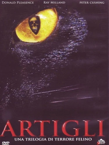 DVD Cover (Italy)