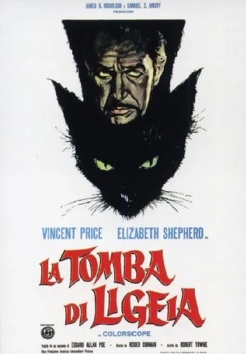DVD Cover (Italy)
