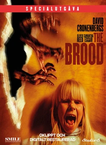 DVD Cover (Netherlands)
