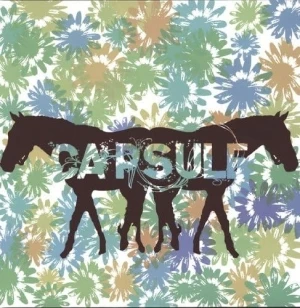 Capsule