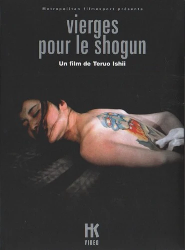 DVD Cover (France)