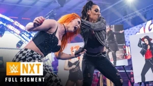 Fallout from NXT Vengeance Day