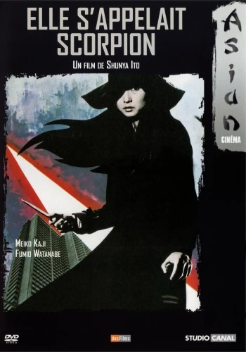 DVD Cover (France)