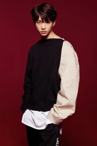 Hwang Hyun-jin