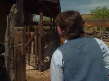 Ted's Saddle