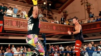 WWF WrestleMania IX Fallout
