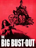 The Big Bust Out