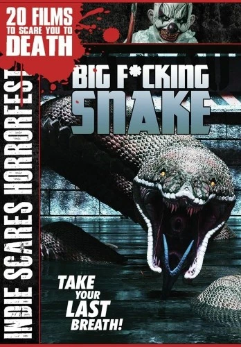DVD Cover (Filmhub)