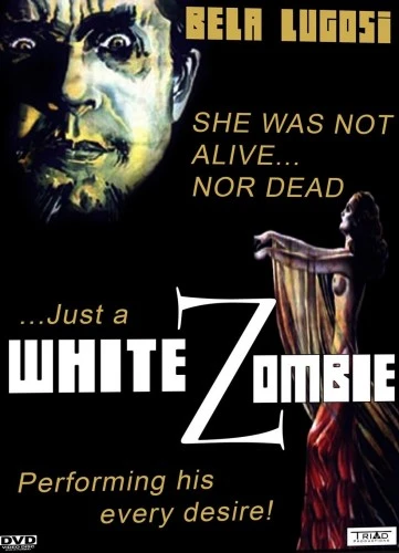 DVD Cover (Triad Productions)
