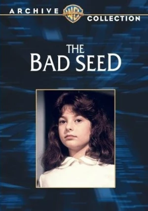 DVD Cover (Warner Brother)