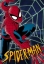 Spider-Man: The Animated Series: Season 3