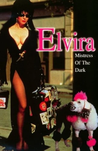 DVD Cover (UK)