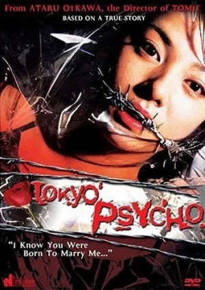 DVD Cover (Panik House)