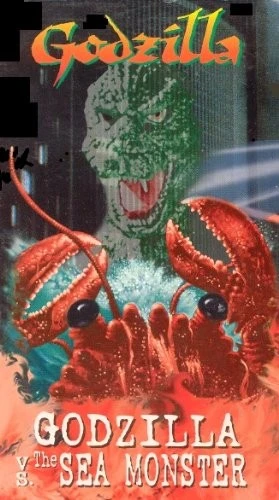 VHS Cover (Unknown)