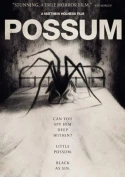 Possum